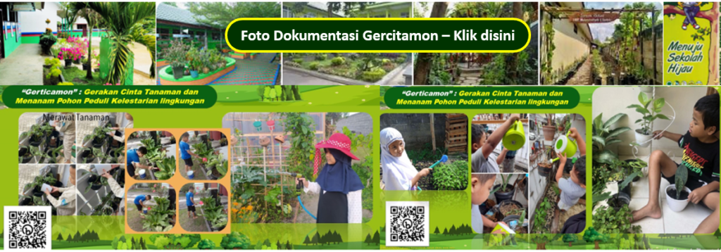 https://photos.app.goo.gl/XFJz6vpv4PFcqDBfA
